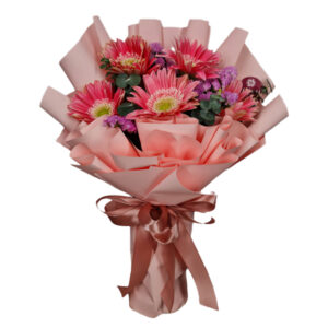 AffordaFlora Gerbera