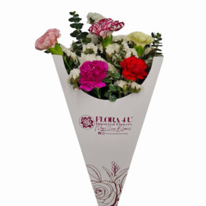 Flora Cone Carnation