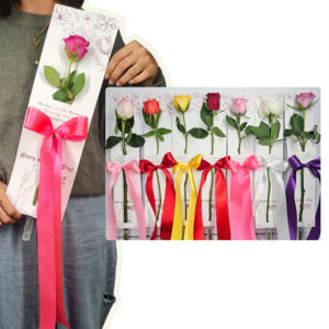 Flora Single Stem Board Rose