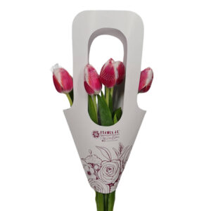 Flora Handy Bag of Tulips