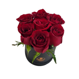 Cylindrical Bloombox - Image 3