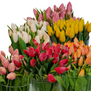 HOLLAND TULIPS BUNDLE (10 STEMS)