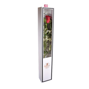 Window Bloombox - Image 3