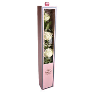 Window Bloombox - Image 4